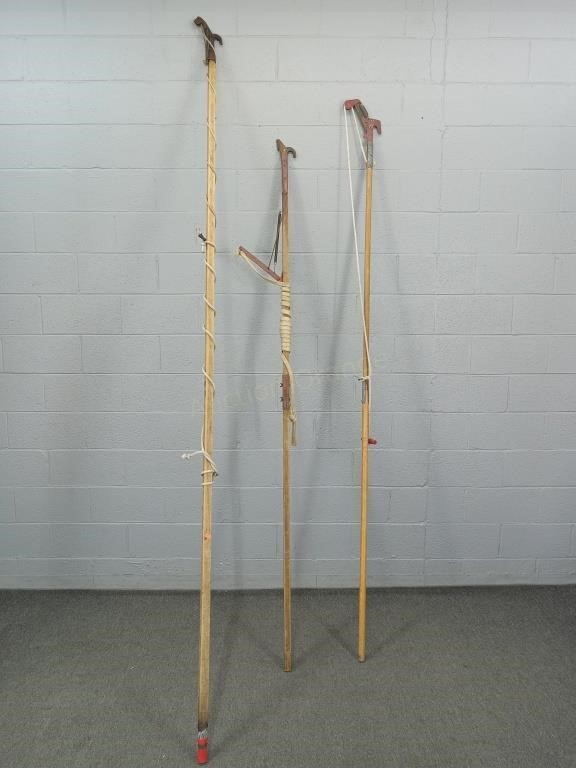 3x The Bid Eagle & More Pruning Poles