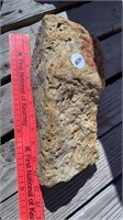 Garden Worm Rock / Fossilized Rock