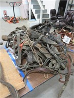 Assorted Horse Harnesses