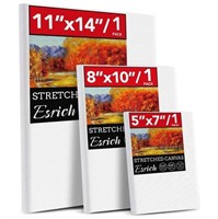 WFF9070  DIYMAG Canvas 3 Pack, 11x14", 5x7", 8x10