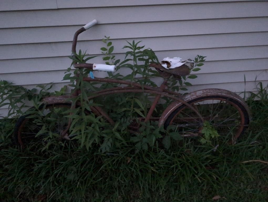 Vintage bike
