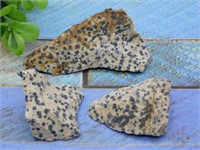 DALMATION JASPER ROCK STONE LAPIDARY SPECIMEN