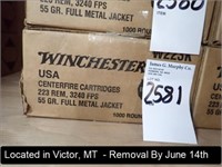 CASE OF (1,000) ROUNDS OF WINCHESTER 223 REM 55