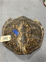 Turtle Shell 20"Dia - As Is