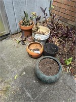 5 planting pots