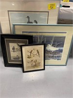 4 FRAMED BIRD PRINTS