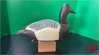 Canvas Back Duck on Wooden Stand