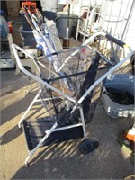 Lot (2) Multi Purpose Carts