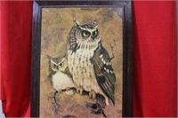 A Framed Owl Print