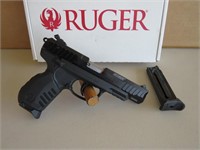 Ruger SR22 22LR