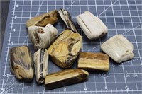 Tumble Polished Petrified Wood, 13.5oz