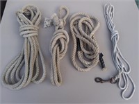 F1) Lot of Ropes