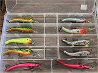 12 new lures in case