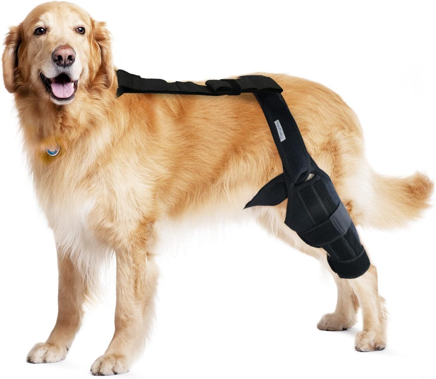 MerryMilo Dog Knee Brace  Hind Support  Size L