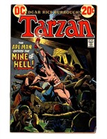 DC COMICS TARZAN #215 BRONZE AGE COMIC
