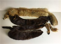 Collection of Fur Pieces