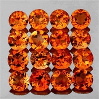 Natural Madeira Orange Citrine 16 Pcs (Flawless-VV