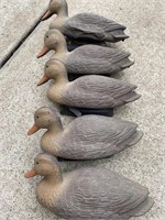 Lot of 5 Vintage Duck Decoys