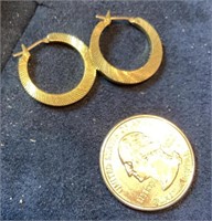 10 karat gold earrings