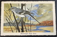 Vintage Mississippi State Bird PPC Postcard