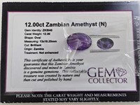 12.00ct Zambian Amethyst (N)