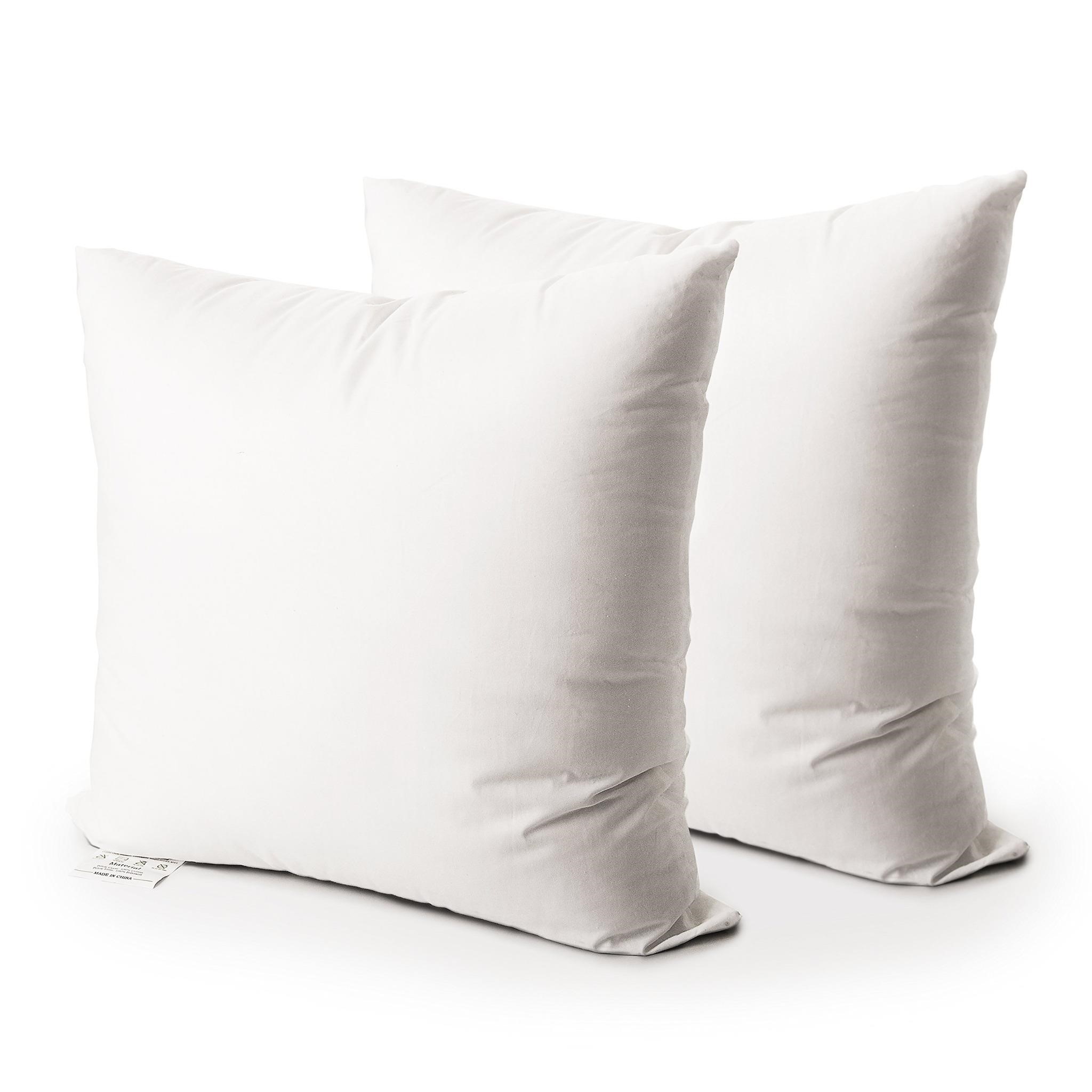 EDOW Throw Pillow Insert, Set of 2 Down