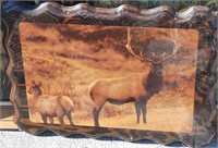 Elk picture by the plaque factory