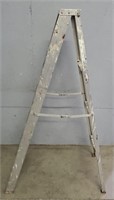 5-Step Werner Aluminum Ladder