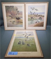 3 FRAMED LYNN BOGUE HUNT PRINTS