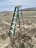 Davidson Fiberglass 6ft Ladder