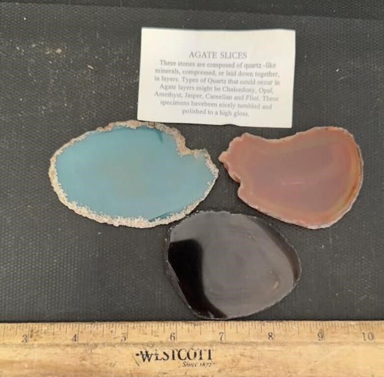 (3)AGATE SLICES-ASSORTED W/INFO PAPER