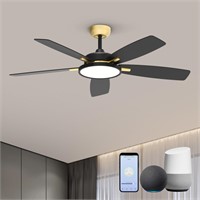 Roomratv Ceiling Fans with Lights,Ultra Silent 52