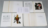 34 Catesby Limited Edition Natural History Prints