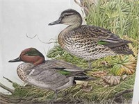 Ducks Unlimited Signed and Numbered Print