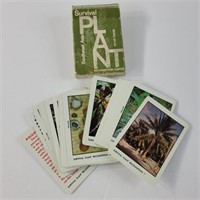 Southeast Asia survival plant recognition cards