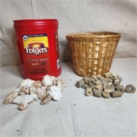 Buckets of Crinoid fossils & quartz