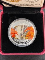 Autumn Falls $20 .9999 Fine Silver Coin