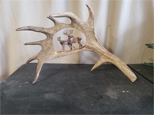 Free stand Antler Carving