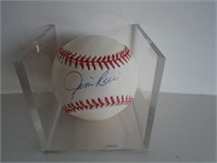 JIM RICE AUTO BASEBALL / NO COA