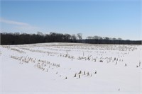 40 +- Acres in White County, IL