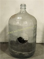 5 gallon glass jug terrarium