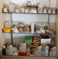 LARGE COLLECTION OF SHELLS, MANY BINS AND