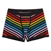 (SIze L) - TomboyX Boxer Briefs Underwear For