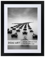 DOAI ART 22x28 Poster Frame Black without Mat or