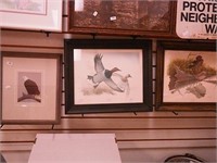 Three framed bird prints