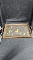 Vtg Wood & Glass Tray with Butterfly Background