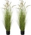 Artificial 5ft 2-Pack Horsetail Reed Grass
