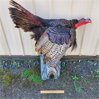 Turkey Gobbler Taxidermy Tree Mount