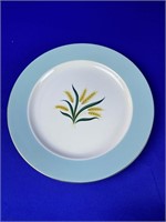 14pc International D.D dinner plates