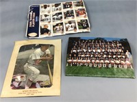 Chicago bears player cards, team photo, and Stan